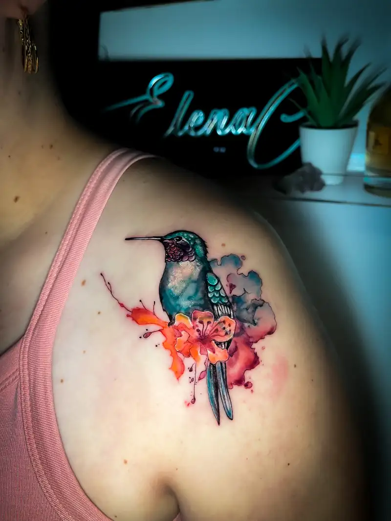 Acuarela & Color